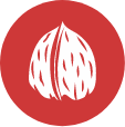 Frutos de cáscara