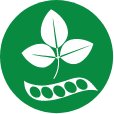 Soja