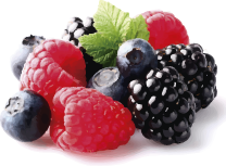 Frutos Rojos