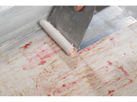 Helado sin gluten y sin lactosa: receta casera Helado sin gluten y sin lactosa: receta casera