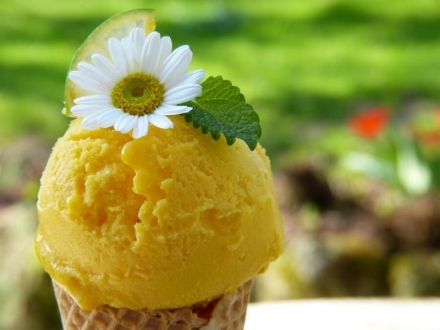Receta de helado de limón sin azúcar